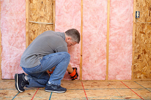 Best Cellulose Insulation in Orangeburg, NY